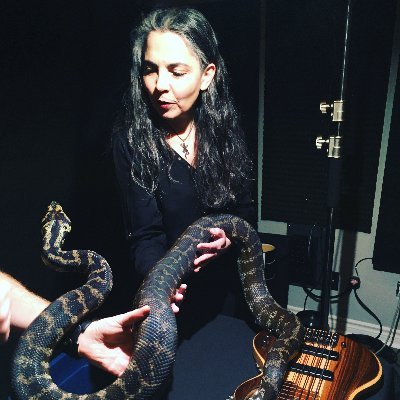 MetalPiggy's profile picture. Guitar player and software developer. 
Biology MSc candidate. Academic profile: @EmineTheStudent
Math is fun and I dig jigsaw puzzles.