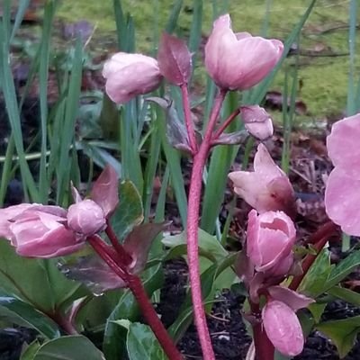 lttleol_me's profile picture. 