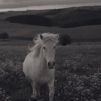 Zeynep Kılıç (@zizim_69) 's Twitter Profile