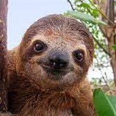 sirathox's profile picture. 