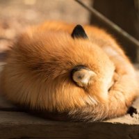 为劫证道 (@weijiezhengdao) 's Twitter Profile