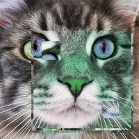 TheWitchofWifi (@thewitchofwifi) 's Twitter Profile