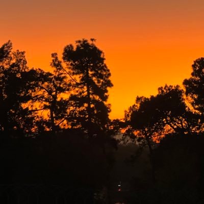 bibsfx's profile picture. 