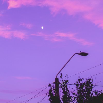 _still_dream's profile picture. annara sumanara