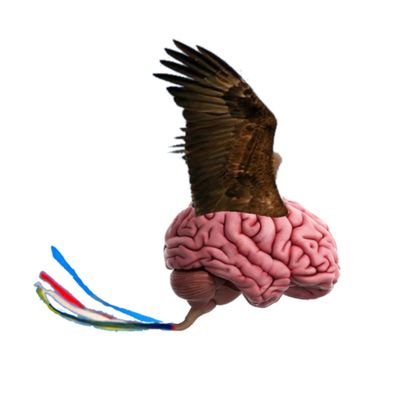 Estou numa jornada pela mente das pessoas, descobrindo suas ideias, pensamentos, sentimentos e percepções nesse cosmo digital.