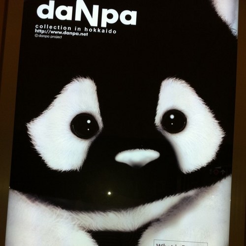 rabbitkun_0923's profile picture. 