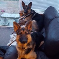 RonReg0807 (@ronreg0807) 's Twitter Profile