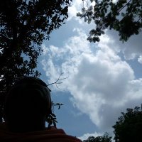 semsedooz (@goldaline2) 's Twitter Profile