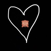 امنه مهدي msmlyi (@msmlyi2) 's Twitter Profile