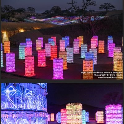 CynthiaLeaVotes's profile picture. #IStandWithUkraine 🇺🇦-- 💙🇺🇸#DBP4D🦋💔#BlueCrew