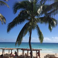 Neokulak (@ilsalieri) 's Twitter Profile