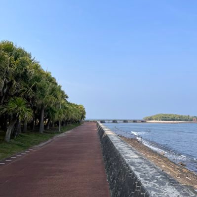S7ccLc's profile picture. 宮崎県住 海が好き