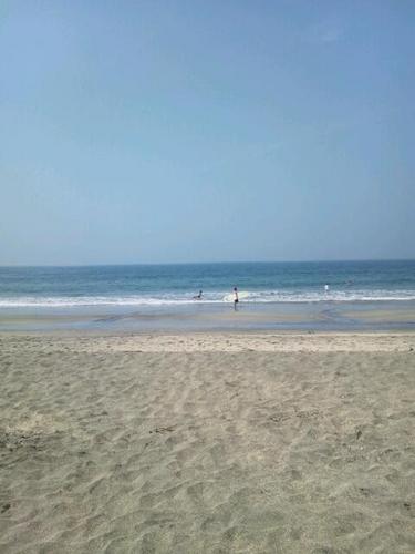 frommiff's profile picture. 食べることは生きること。サラリーマンを中心に、バイオリンも少しやってます。