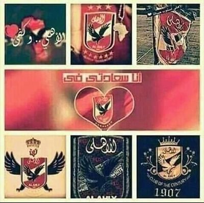 I breathe football, especially Al-Ahly ❤️ Glory to the martyrs 74 🕊️ ⚽🎶 85 : 45 🎶⚽ Walid Soliman