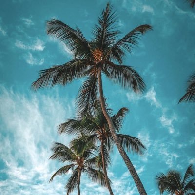e_fallatah's profile picture. طالبة جامعية📚، وللنُبذَة بقيَّة..