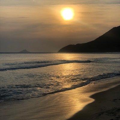 ari_sarzi's profile picture. 