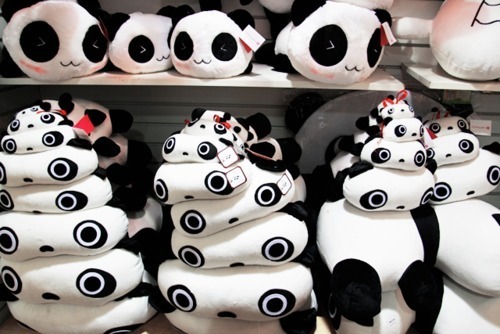 heartbwhq's profile picture. 大会が終わった安堵感と大切なメンバーが一人減ってしまった寂しさでグルグルしちゃいます・・・