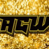 This is a WWE 2K CAW Universe account. All news related to CAW show Action Central Wrestling will be posted here. Watch using the link below.