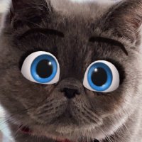 だいふく (@daihukunyari) 's Twitter Profile
