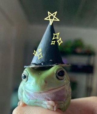 She/her, bi baby,nuro-divergent leftist, 18+ gay af, anti-capitalist advocate.
Here to cause chaos and make mischief.