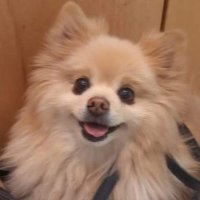 CE CI LIA (@mcysigi) 's Twitter Profile
