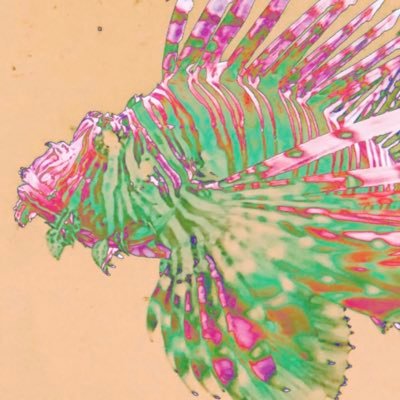 ATOM9さんのプロフィール画像
