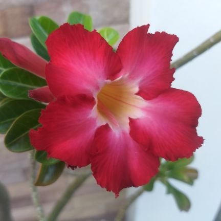 son__1234's profile picture. 