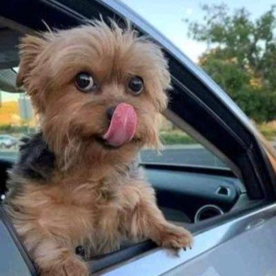 inuolaji3's profile picture. I’m very funny and easy going guy