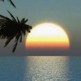 Tonya Hamiltonb (@tonyahamiltonb) 's Twitter Profile