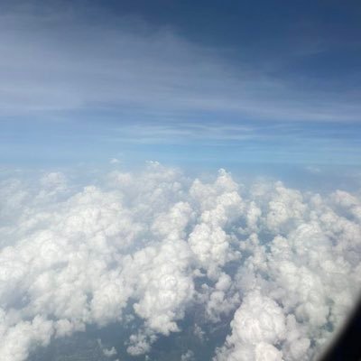 Alfred_w99's profile picture. Make ur point