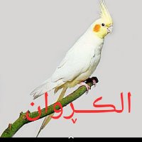🦋دعااااء🦅🇪🇬 الكروااان ❤️ (@doody990088) Twitter profile photo