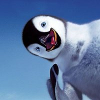 Penguin(@PolarPenguin88) 's Twitter Profile Photo