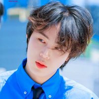 하리움 (@sw22forever) 's Twitter Profile