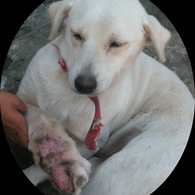 batata56's profile image