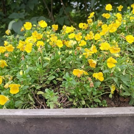 daduizhang18's profile picture. 大叔一个  😍