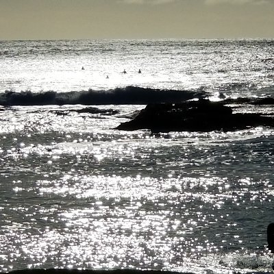 kiloalphalima16's profile picture. Just another citizen