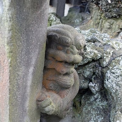 古地図を通して郷土横須賀の歴史を和気あいあいと学んでいます。
知るは楽しみなり。継続は力なり。

現在は会員募集しておりません