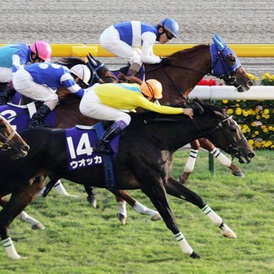 白鴎競馬サークルTrifectaです。競馬が好きな人が集まって語ったり予想したりしています！初心者も多いので興味がある方は是非DMして下さい！  2022年創設