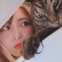 音琴るい👾ぺち (@pechan_1582) 's Twitter Profile Photo 音琴るい👾ぺち (@pechan_1582) 's Twitter Profile Photo