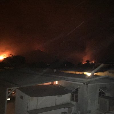 nikosway_'s profile picture. watch me