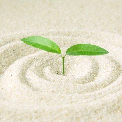 lQMpo4n6jvLzbrP's profile picture. 思考