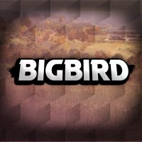 Big Bird(@BigBird_____) 's Twitter Profile Photo
