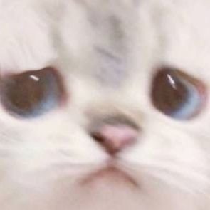 regnehz's profile picture. 