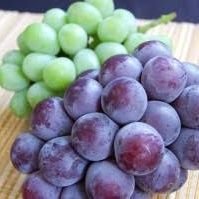 Grape (@grape79049713) 's Twitter Profile