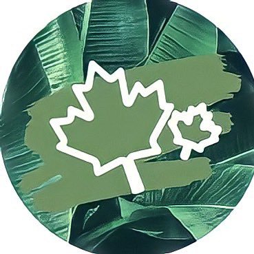 _iipastellyz__'s profile picture. 