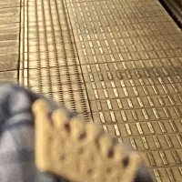 f*fAlphaΔ ニート (@k2malpha66) Twitter profile photo