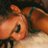 featherson_rsa's profile image