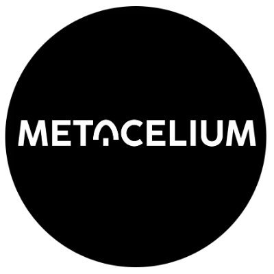 MetaCelium nurtures the same grassroots community that
gave life to Bitcoin over a decade ago, only with a modern focus: NFTs,
gaming, and the Metaverse