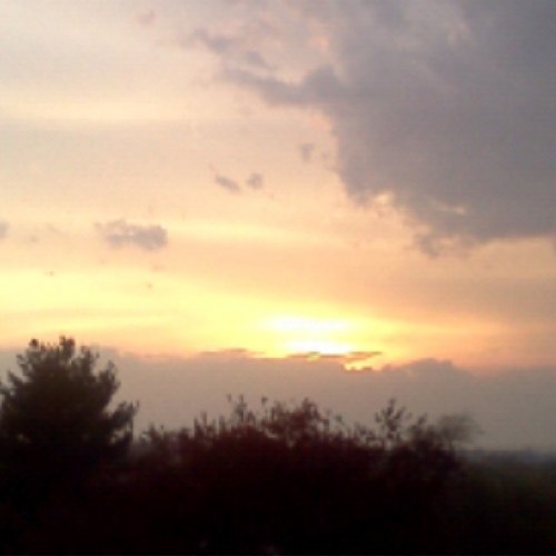 sterlingtom's profile picture. hey my names sterling im 11 year old kid l love to play like yesturday :) follow me i wont hurt u i dont bite hard