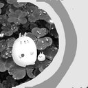 Grace Long - @Lo14352614Long - Twitter